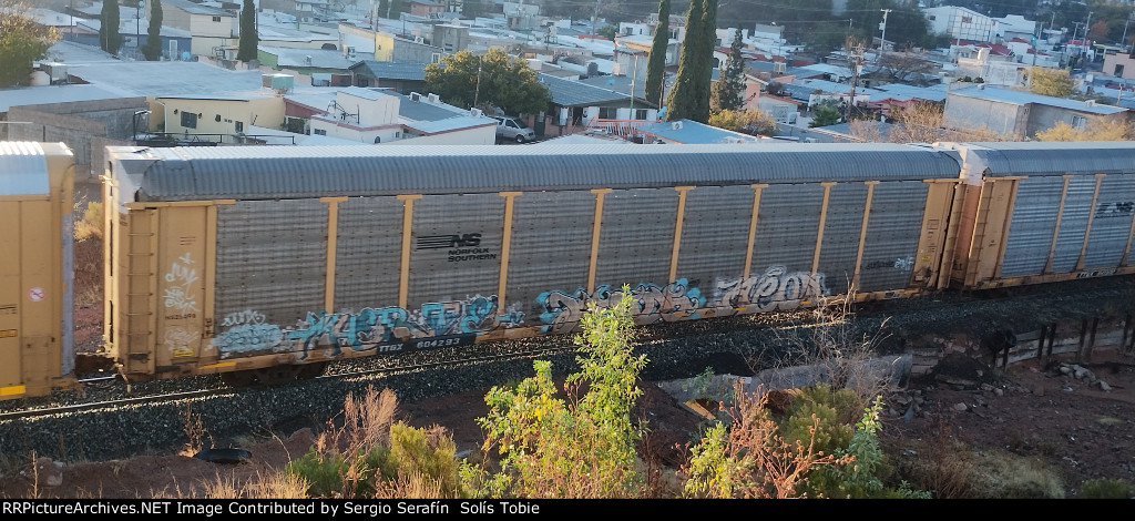 TTGX 604293 Rack NS 